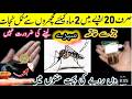 Get rid of rats, Mosquito, cockroach, lizard with homemade spray|powerful insects killer remedy🙄