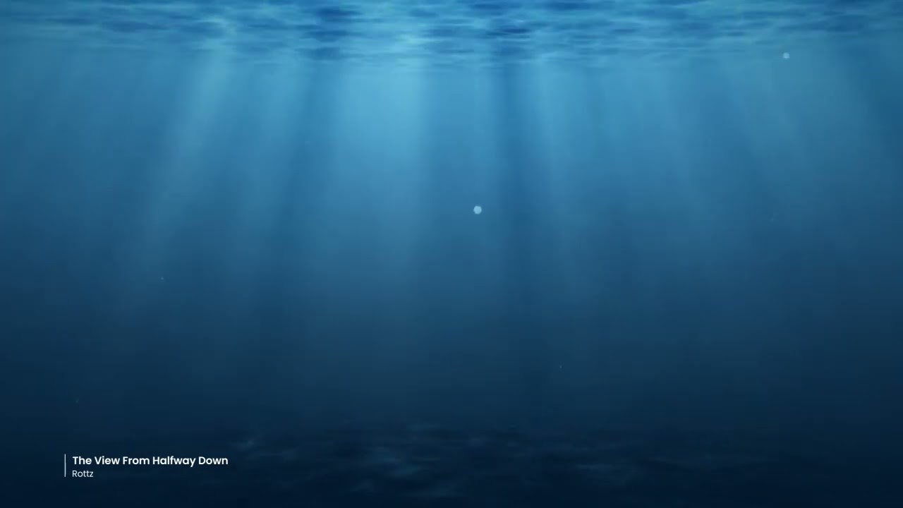 Rottz - The View From Halfway Down