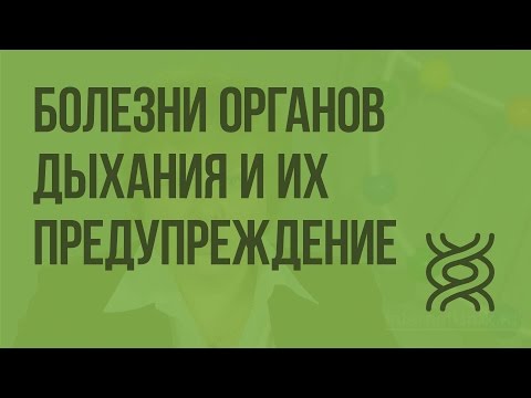 Болезни органов дыхания и их предупреждение. Видеоурок по биологии 8 класс