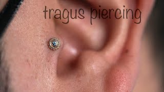 Tragus Piercing with BVLA sapphire in rose gold