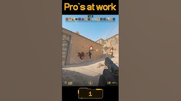 Pro