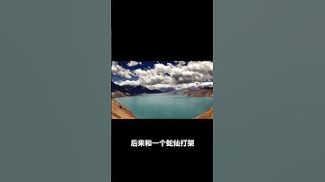 伤害动物的身体会有果报 #修心修行 #人生感悟 #正能量 #奇聞異事 #玄學