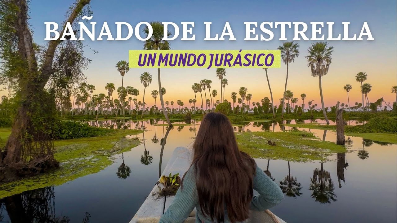 Visitamos el BAÑADO DE LA ESTRELLA 💫 - Formosa, Argentina
