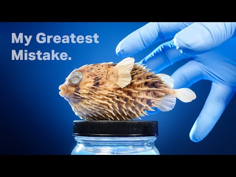 The Truth About My Pufferfish