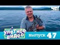 Улетное видео | Выпуск 47