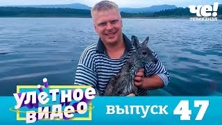 Улетное видео | Выпуск 47