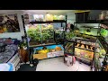 NEW YEAR, NEW REPTILE ROOM!! | Reptile Room tour January 2020!