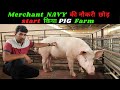 मेरी तरह आप भी start कर सकते है Pig  Farming Bussines    @@@ Indian farming  technology