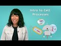 Cell Processes: The Connection Between Life and Energy