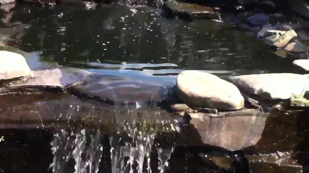 Beautiful Ulster County Property