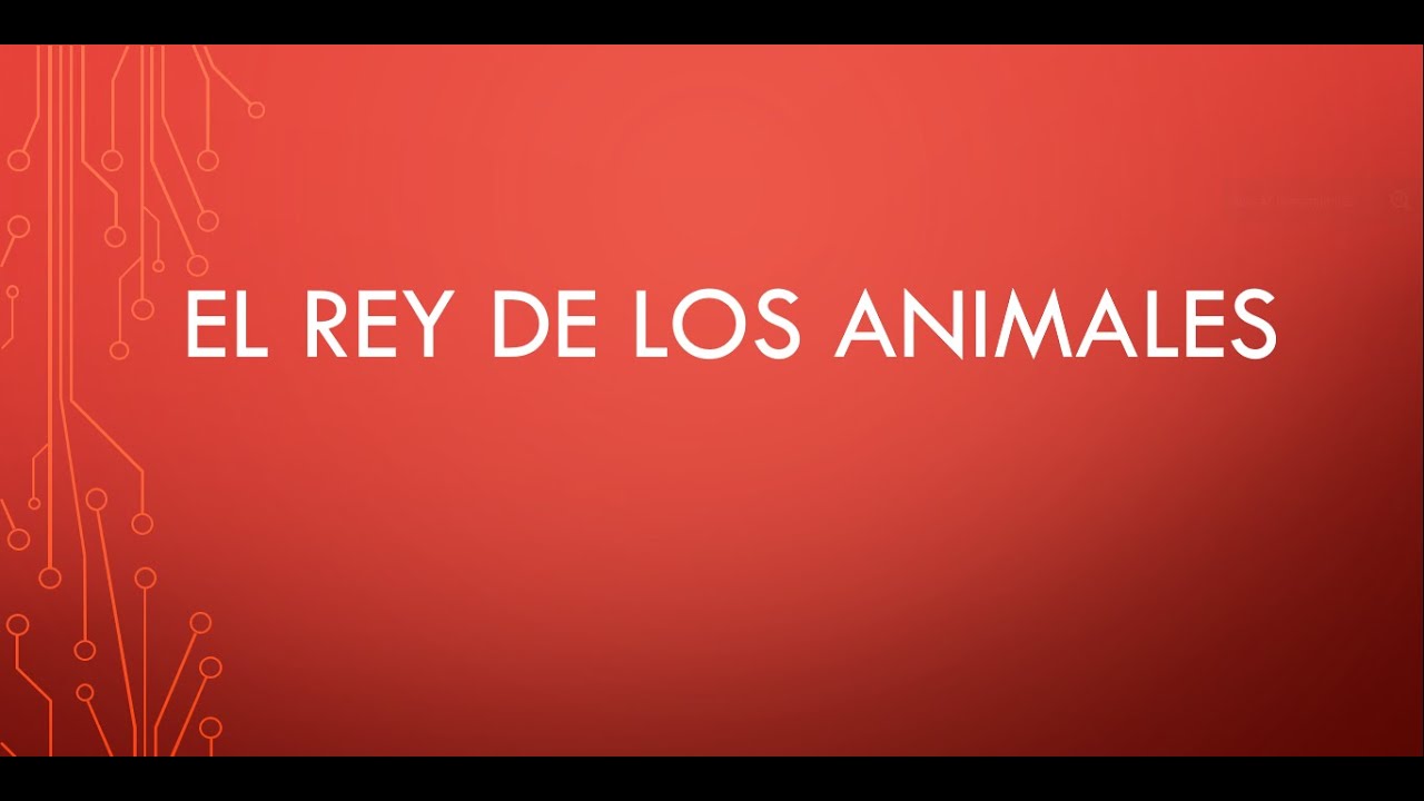 EL REY DE LOS ANIMALES - YouTube