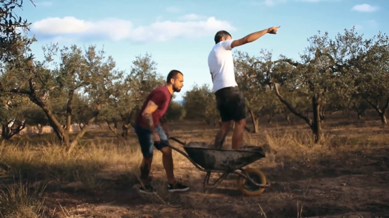 GROGGY RUDE - Ara renúncies (Videoclip)