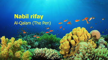 Nabil Rifay   Surah Al Qalam The Pen نبيل رفاعي   سورة  القلم