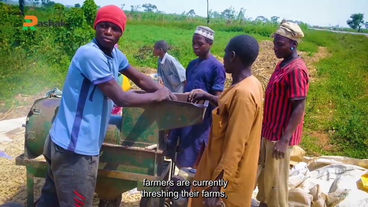 Rashak 2024 Wet season Harvest Experience