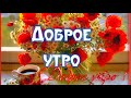 С ДОБРЫМ УТРОМ🌸С НОВЫМ ДНЁМ🌞🌼🌹ОЧЕНЬ НЕЖНОЕ ПОЖЕЛАНИЕ.