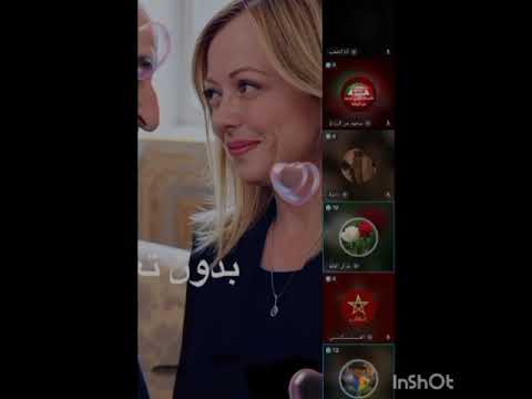 جزائرية غارت من ميلوني وقربلاتها مع قبائلي صحراوي من البوليساريو بهدل جزائري قابلين الحكم ذاتي حوار