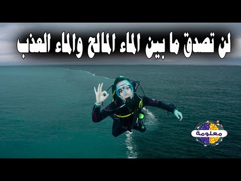 فيديو: من اكتشف البرزخ؟