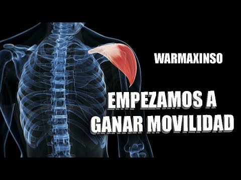 skilled migration to canada #WarmaVlog5: Empezamos a ganar movilidad - WX