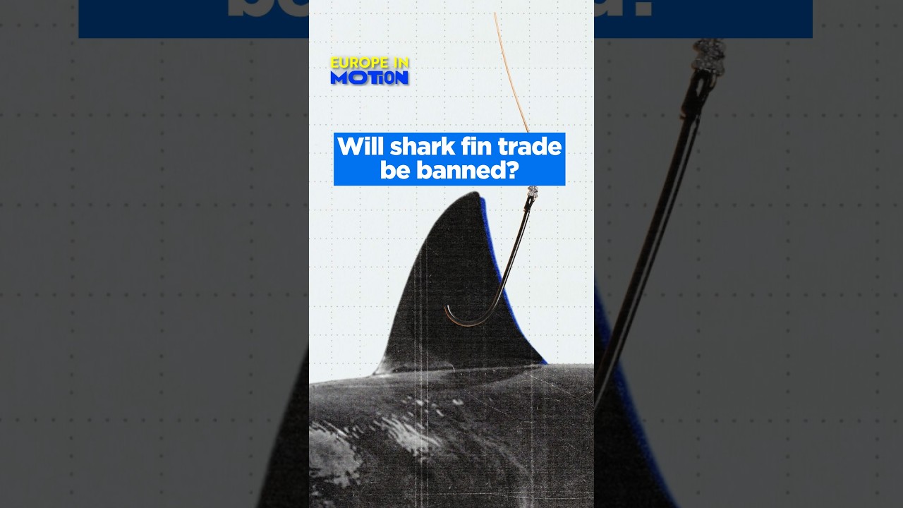 Will Shark Find Trade Be Banned?