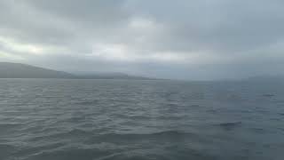 Buncrana to Rathmullan by Ferry | Scenic Views Across Lough Swilly | Donegal 🇮🇪