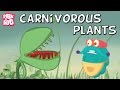 Carnivorous Plants | The Dr. Binocs Show | Educational Videos For Kids image