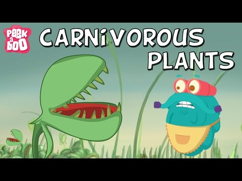 Video: What Are Carnivorous Plants