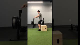 Alt box pistol squat