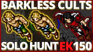 TIBIA GUÍA EK 150 + | 3KK EXP/H BARKLESS CULTS – Hunt Elite Knight