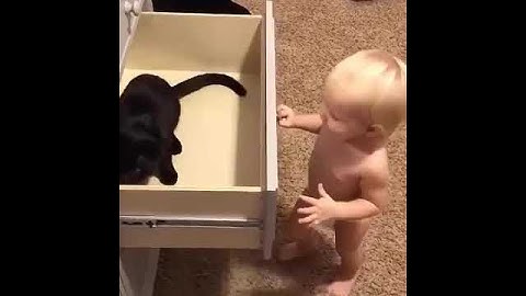 #tiktok #funny #funny #funnyvideo #funnyshorts #funnyreels