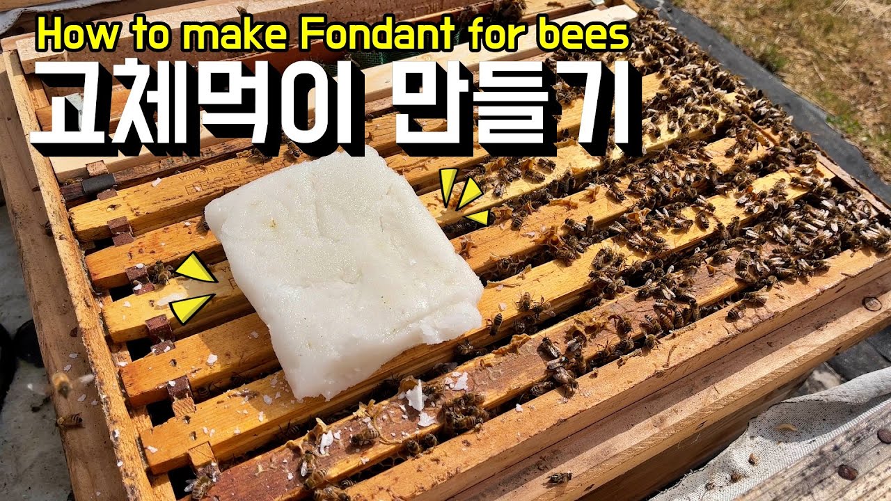봄벌 키우기. 꿀벌을 위한 고체 먹이 만드는 방법. How to make fondant for bees