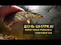 ДЕНЬ ШНУРКА / БЕРЕГОВОЙ СПИННИНГ / РЕКА ПСЕЛ