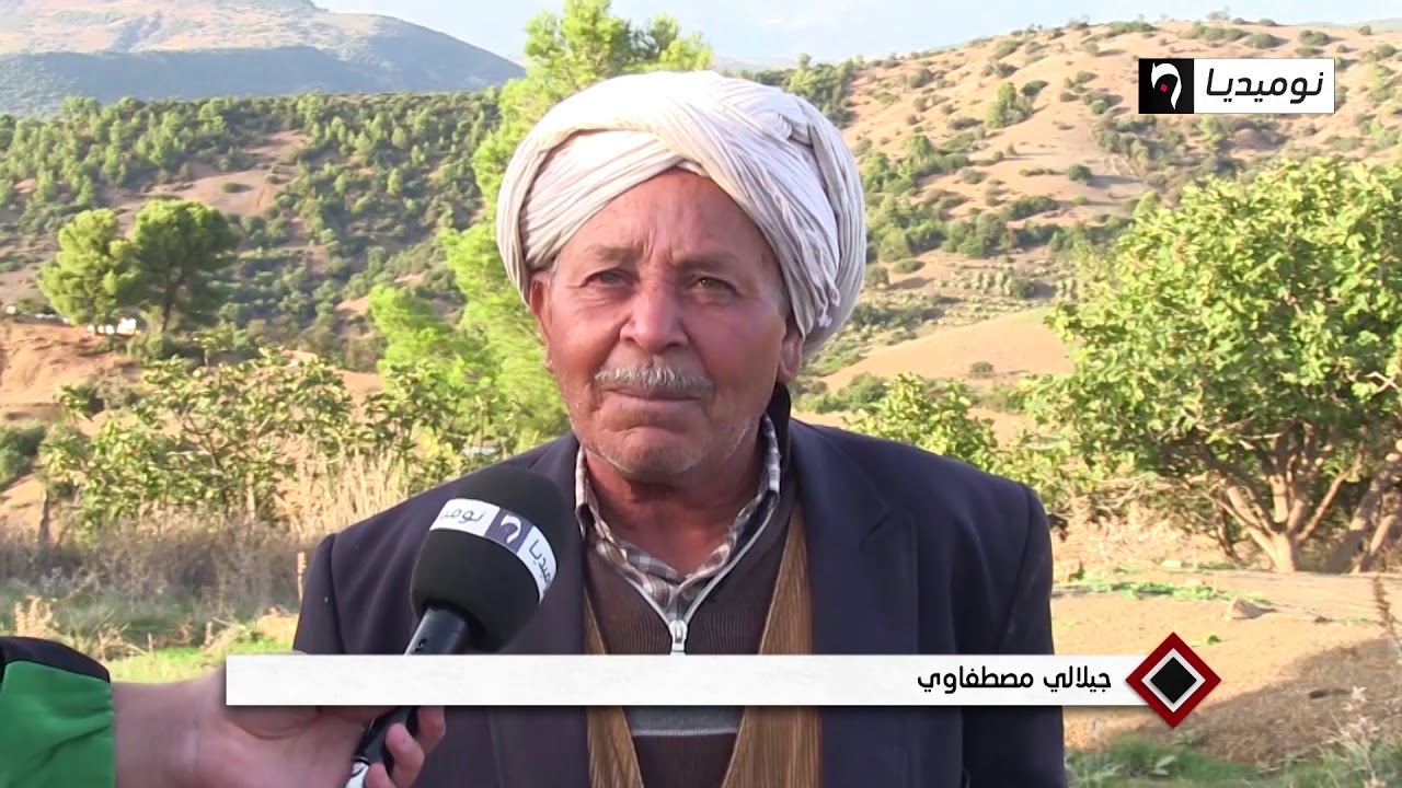 المدية: العبابدة استقرار السكان مرهون بتوفير متطلبات الحياة