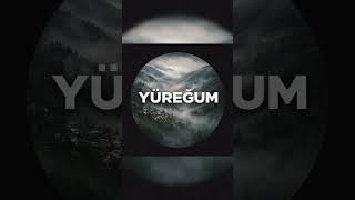 Yol Arkadaşum Ürkü Çe Şfet Üzik