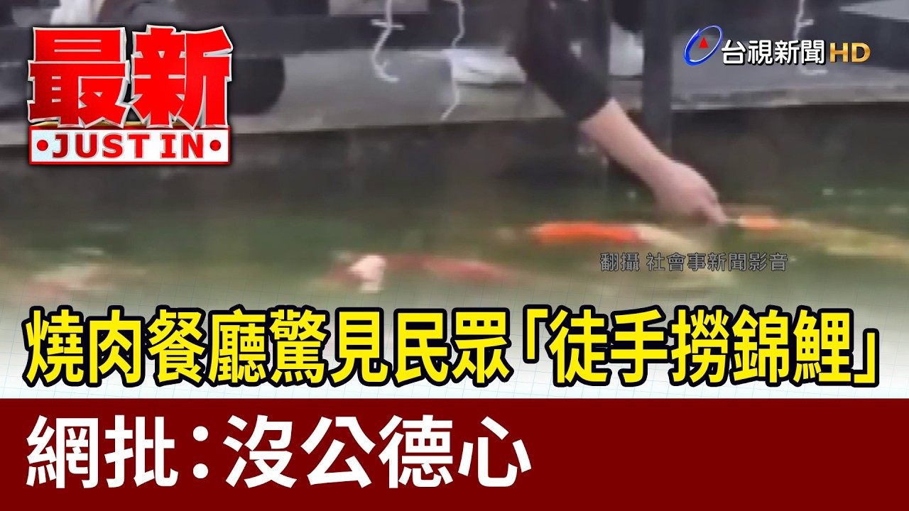 燒肉餐廳驚見民眾「徒手撈錦鯉」 網批：沒公德心【最新快訊】