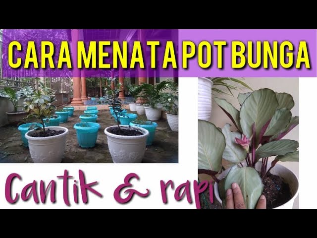 Cara Menata Pot Bunga Didepan Rumah Sarilaras Youtube