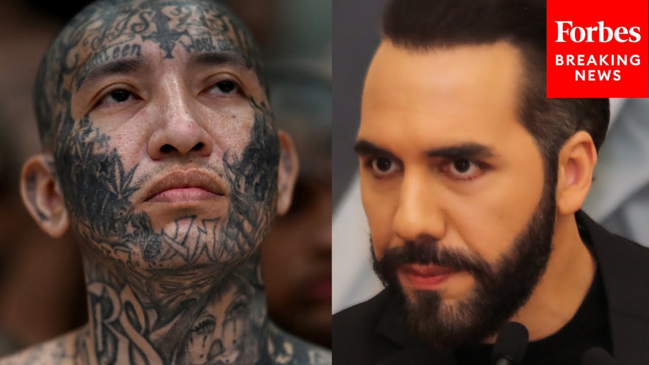 Ted Cruz Asked About El Salvador President Bukele Forming 'Pact' With Gangs