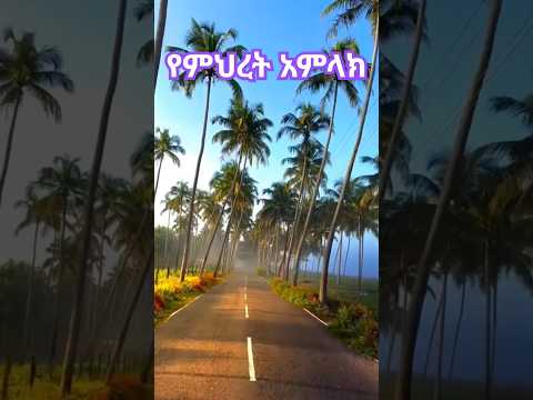 Dereje Kebede ልማጸነው Jesuschrist Habesha Viralshorts