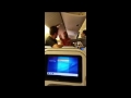 Two Adult Children Get Into a Brutal Fight on Flight From Tokyo, Brave Stewardess Steps In