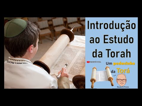 O Estudo da