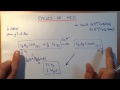 Exemple dun cycle de hess simple