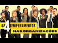 OS 4 TEMPERAMENTOS NAS ORGANIZAÇÕES