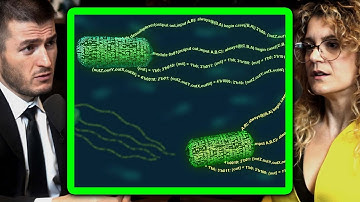 Is language a living organism? | Sara Walker and Lex Fridman