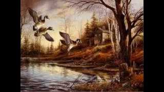 NESRN KÖRÜKÇÜ - NİDEYİM BİLMEM