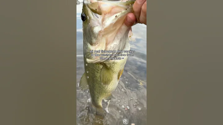 This is so TRUE!#fishing #shorts #viral #shortsviral #trending #fyp