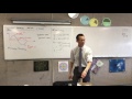 Simple Harmonic Motion Concepts