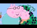 Peppa Pig en Español Episodios completos ❤️ LA ZARZA DE LAS MORAS  ⭐️Familia ⭐️ Pepa la cerdita