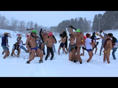 Harlem Shake (Naked Blizzard Edition)