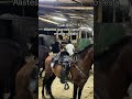 cuál cine vamos es a beber y en caballo que no es lo mismo 😜😜😜