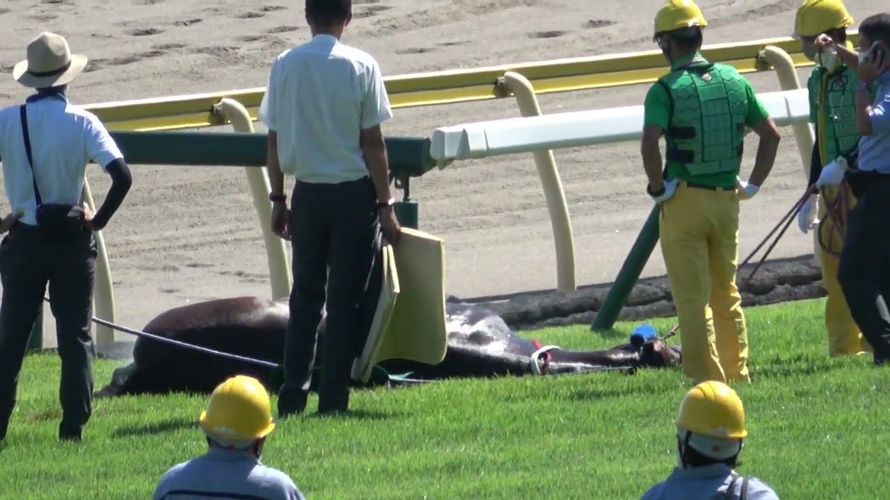 まず説明欄をご覧ください。新潟ジャンプS2022  テイエムコンドルがゴール後に倒れる 現地映像