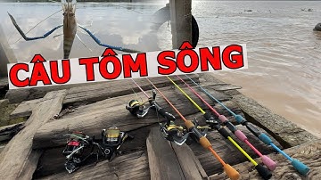 CÂU TÔM SÔNG CÙNG ANH ĐỠ NV | ĐIỂM CÂU TÔM BẾN GHE SÔNG CỔ CHIÊN